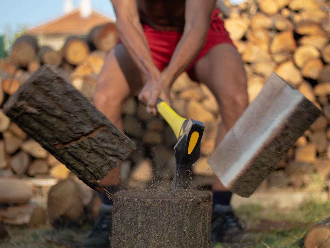 Large Tree Removal